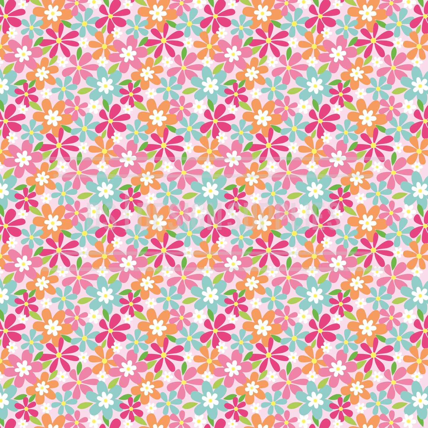 Colourful Daisy's