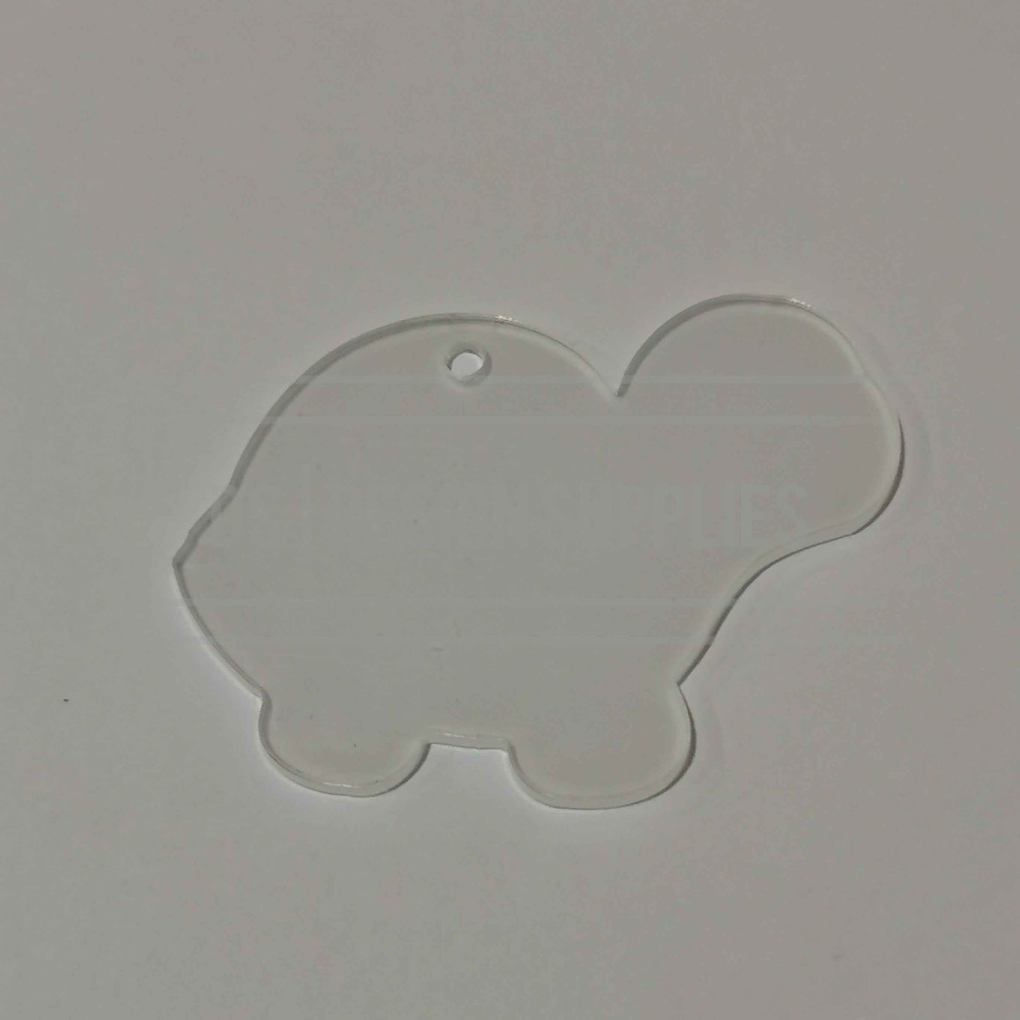 Acrylic - Turtle 2.5 Inch