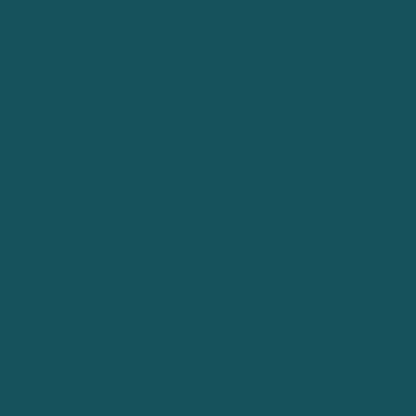 Siser EasyWeed / P.S. Film - Turquoise