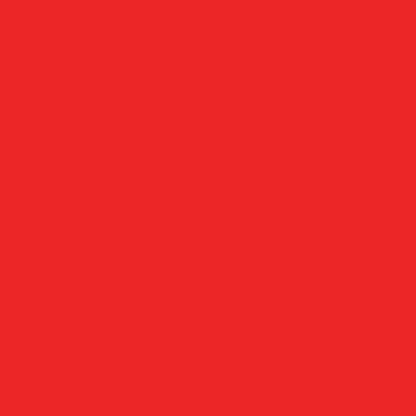 Siser EasyWeed / P.S. Film - Bright Red