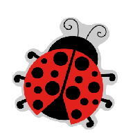 Acrylic - Lady bug