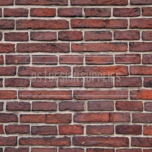 Brick Wall