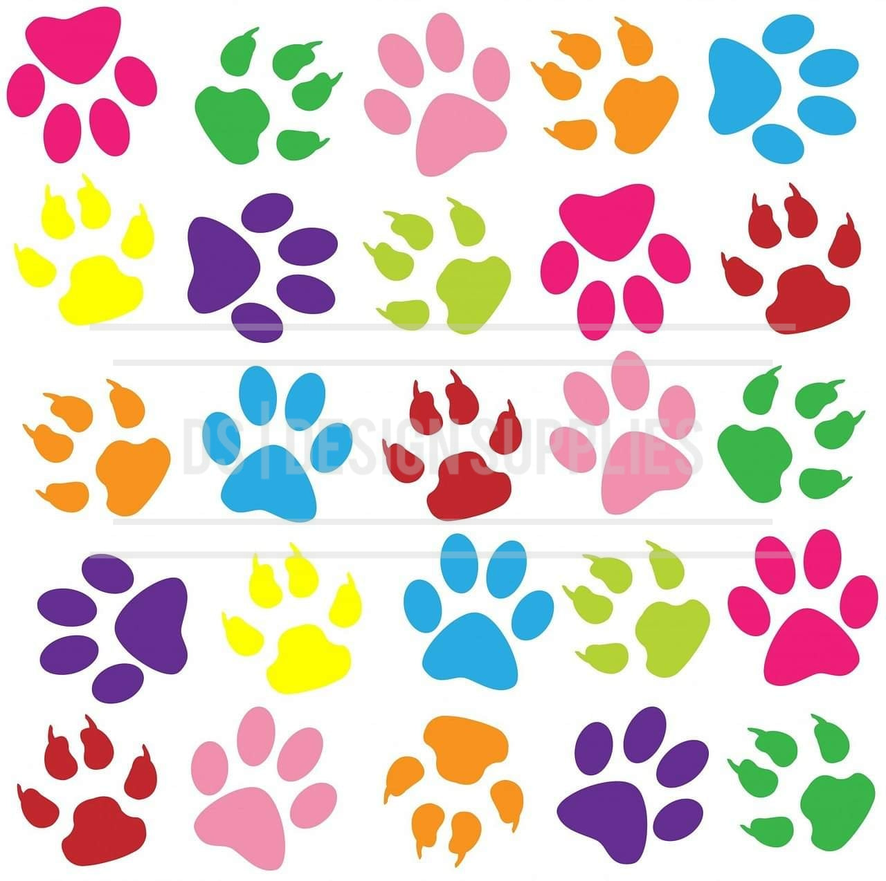 Colourful Paws