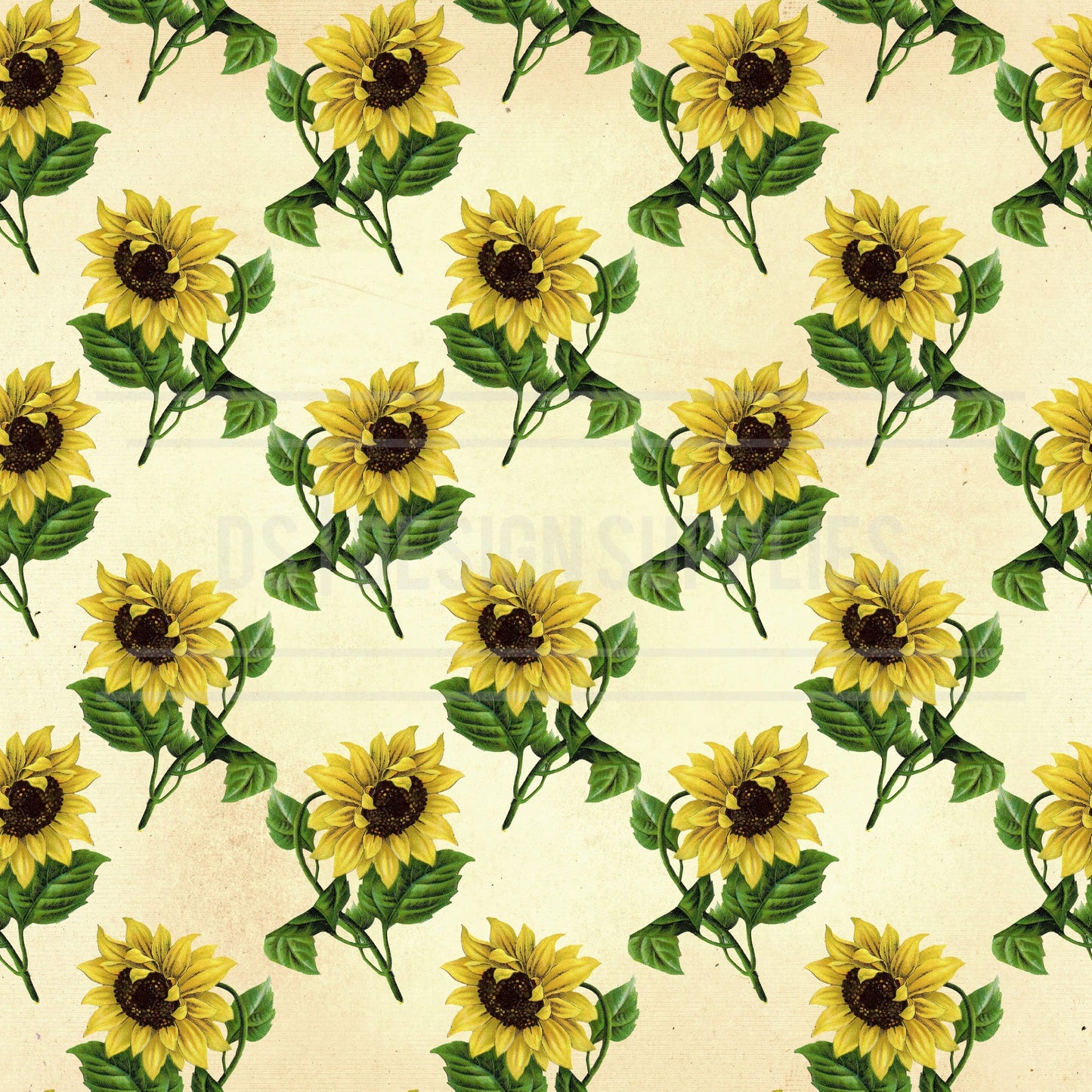 Pastel Sunflower