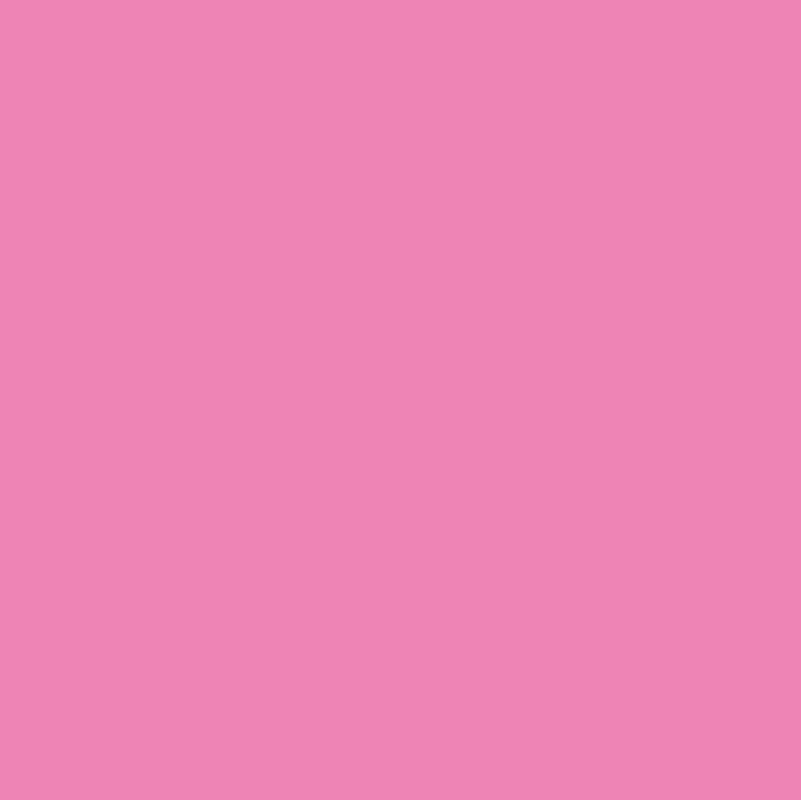 Oracal 638 Wall Art - Soft Pink