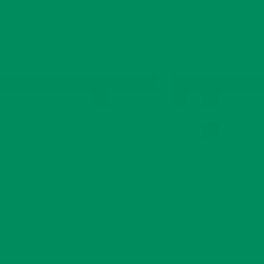 Oracal 551 - Mint Green