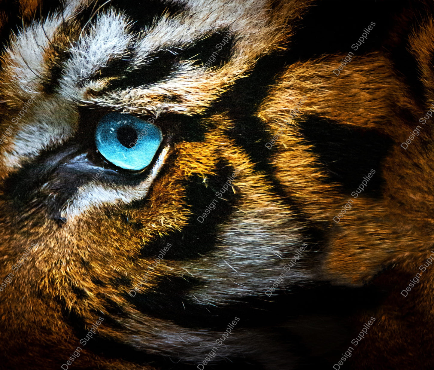 Tiger Eye - Tumbler Wrap