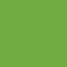 Oracal 751 - Lime-Tree Green