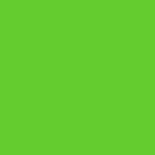 Oracal 551 - Limette Green