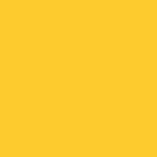 Oracal 551 - Yellow